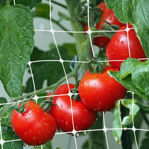 Climbing Net for Vegetable Gardens