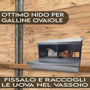 Nido per Galline Ovaiole 2 Posti