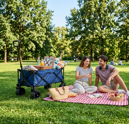 Carrello Outdoor Pieghevole Telescopico 80Kg con Ruote 360°