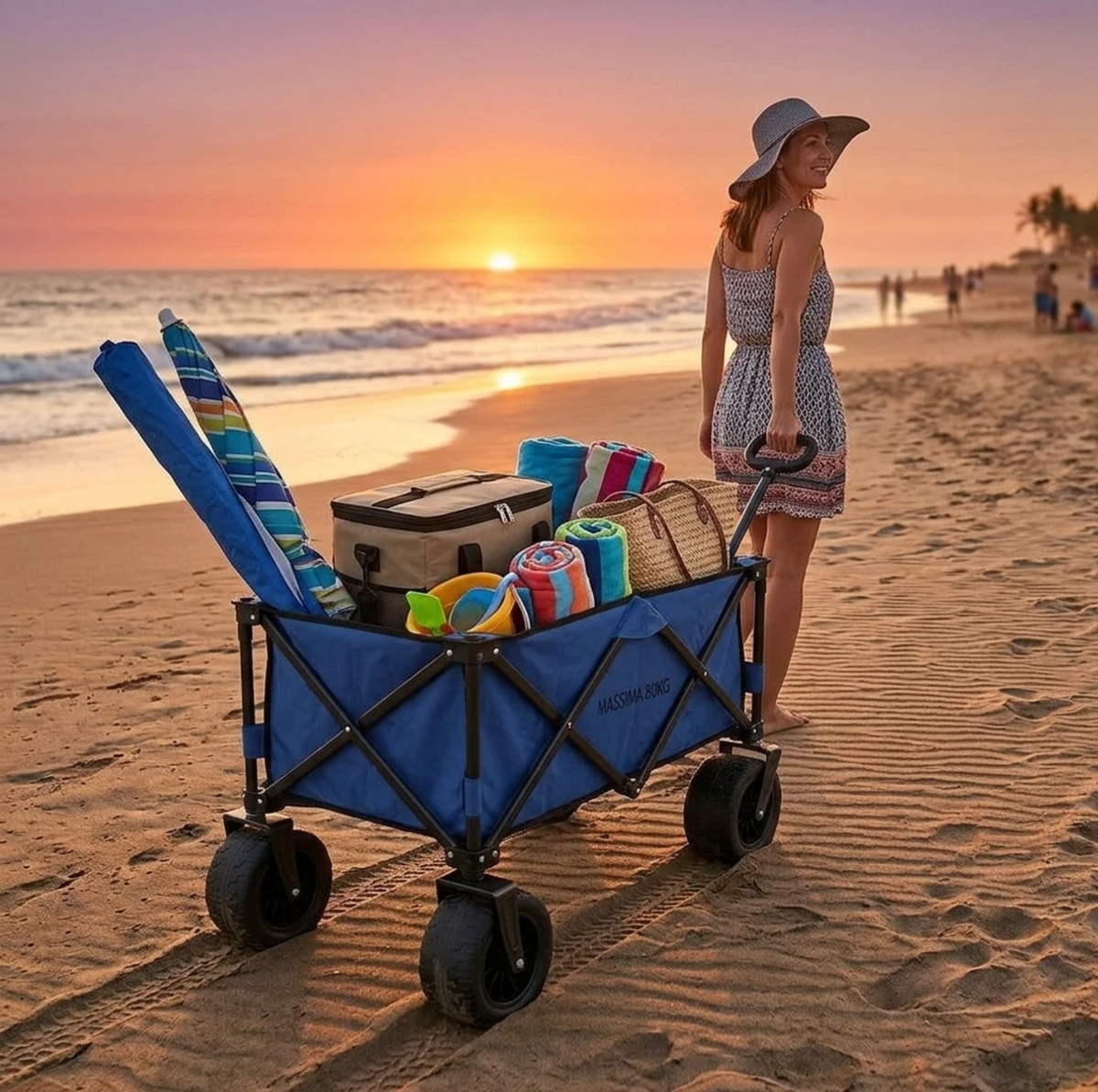 Carrello Outdoor Pieghevole Telescopico 80Kg con Ruote 360°