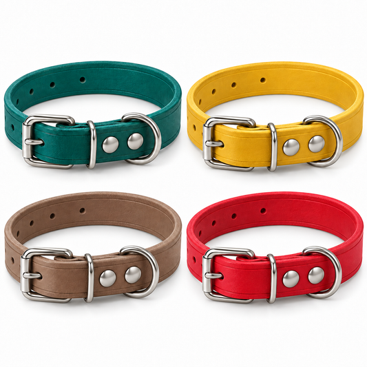 Collari in pelle 20 × 440 mm nei quattro colori disponibili