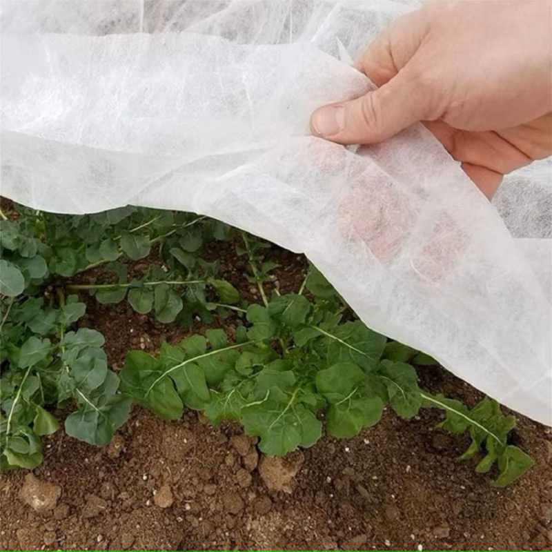 Telo Protettivo MAKA Ortoclima tessuto per Colture, Antigelo e Anti-insetti