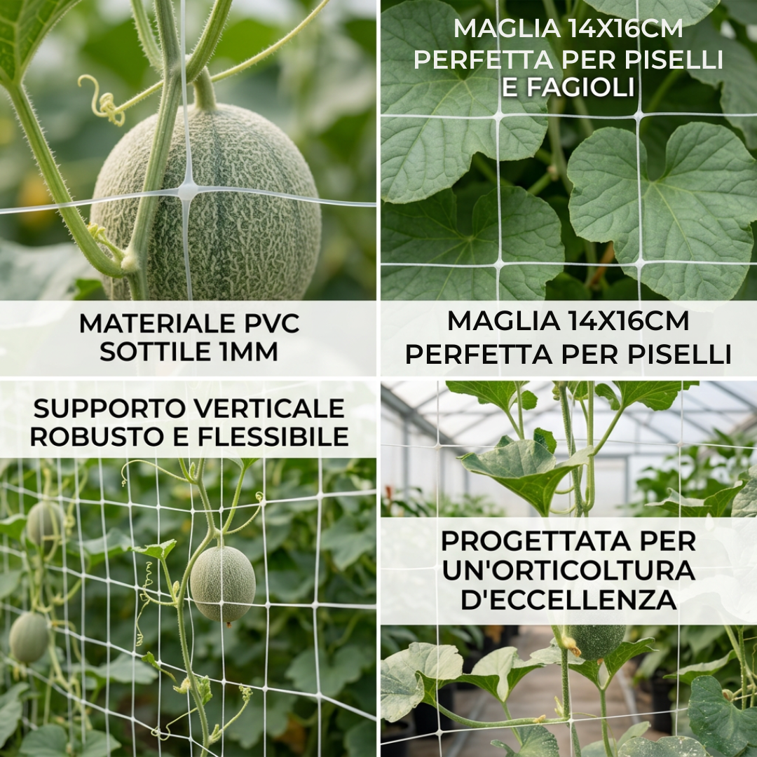 Climbing Net for Vegetable Gardens