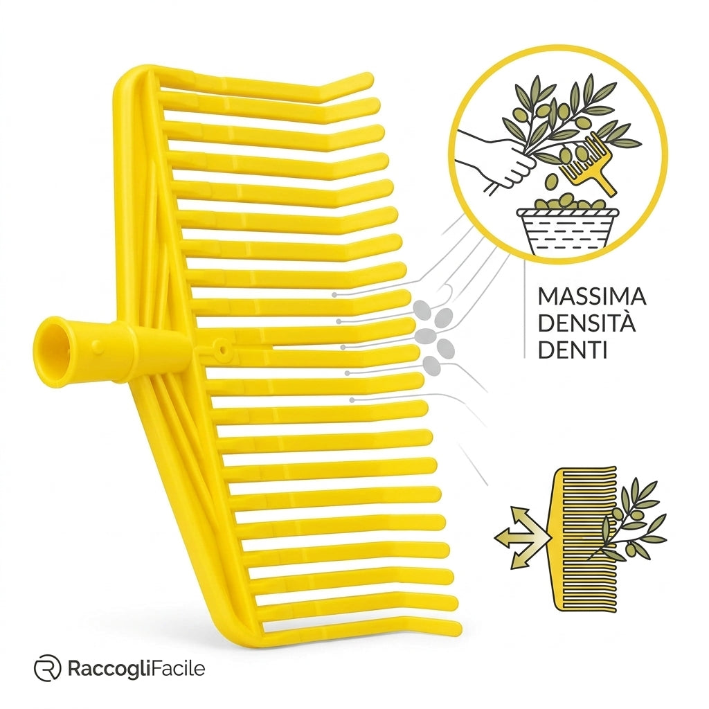 Scopa raccogli olive con denti fitti per raccolta manuale