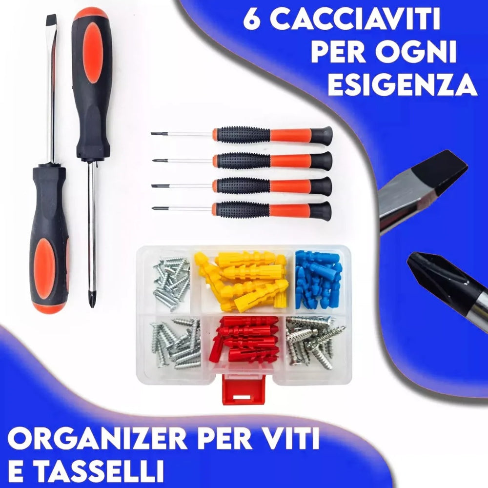Screwdriver with case and multipurpose tool kit