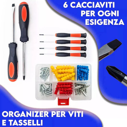 Screwdriver with case and multipurpose tool kit