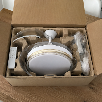 Ventilatore da soffitto 48 pollici confezionato nello scatolo