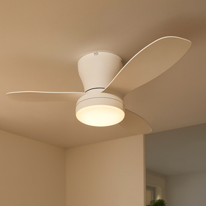 ventilatore piccolo2